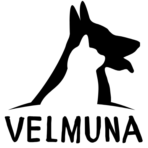 Velmuna