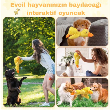 HappyDuck™ Öten ve Hışırdayan Oyun Arkadaşı