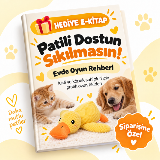 Patili Dostun Sıkılmasın! – Evde Oyun Rehberi